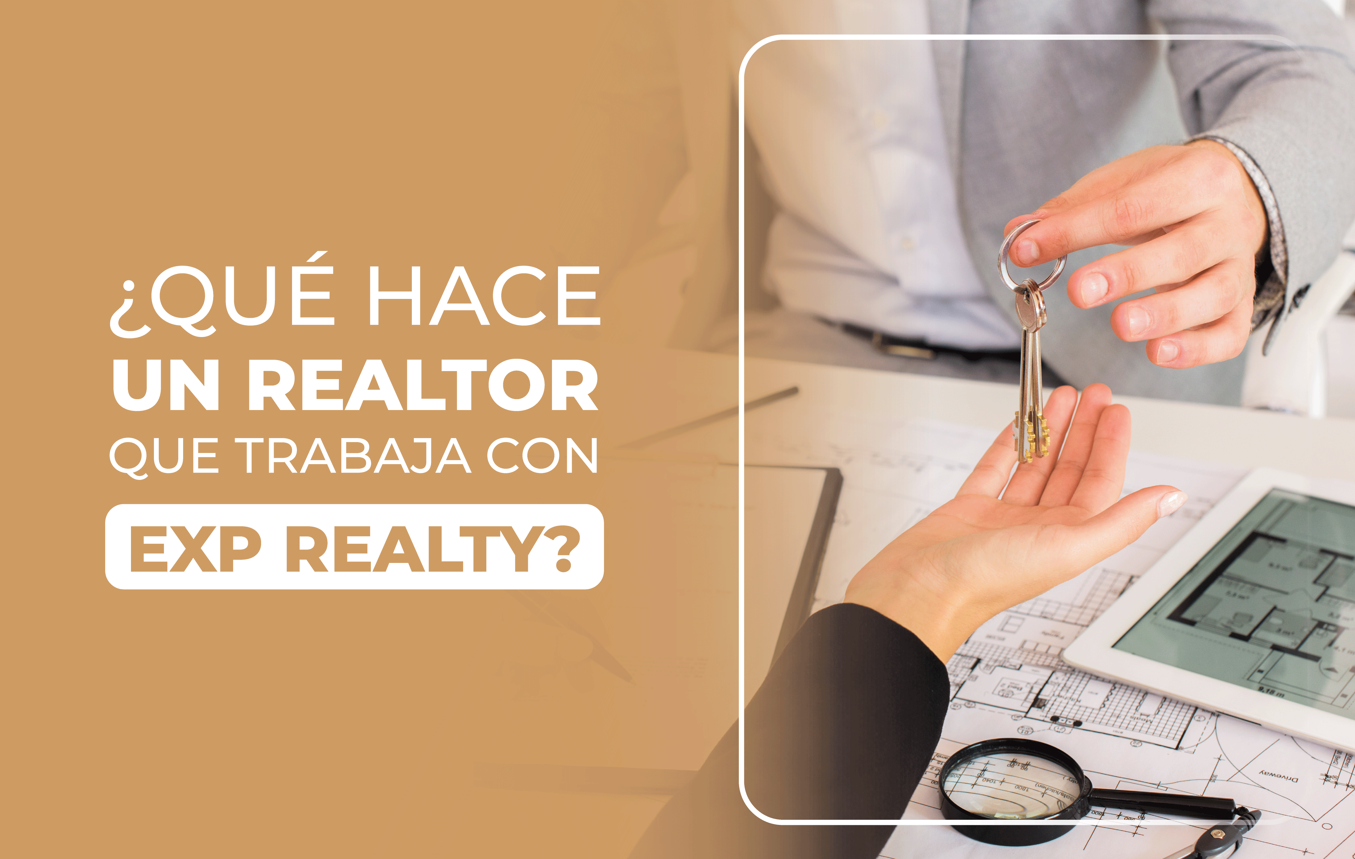 ¿Qué hace un realtor que trabaja con EXP Realty?